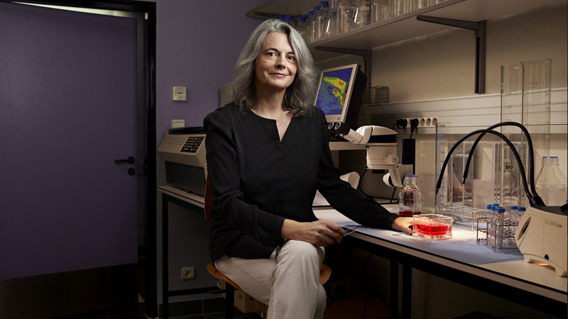 Illustration for article titled It Takes A Makeup Company To Tell Us Science Needs Women